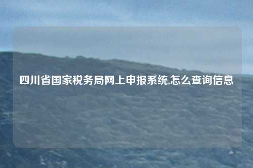 四川省国家税务局网上申报系统,怎么查询信息