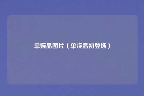 单婉晶图片（单婉晶初登场）