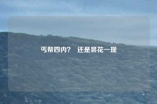 丐帮四内？  还是昙花一现