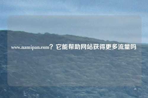 www.namipan.com？它能帮助网站获得更多流量吗