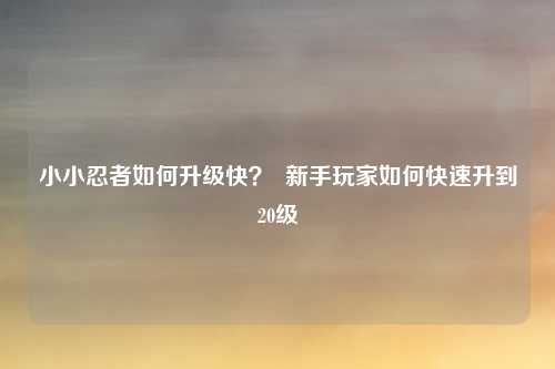 小小忍者如何升级快？  新手玩家如何快速升到20级