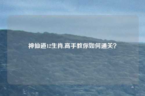 神仙道12生肖,高手教你如何通关？