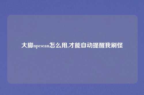 大脚npcscan怎么用,才能自动提醒我刷怪
