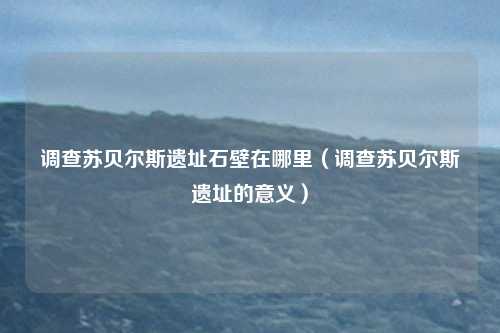 调查苏贝尔斯遗址石壁在哪里（调查苏贝尔斯遗址的意义）