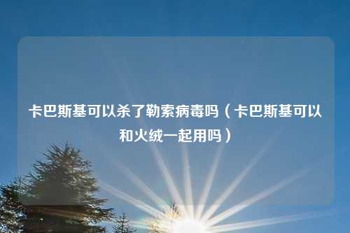 卡巴斯基可以杀了勒索病毒吗（卡巴斯基可以和火绒一起用吗）