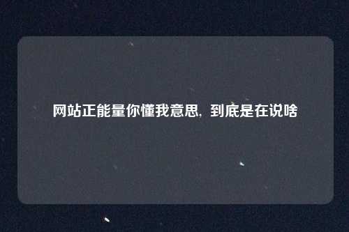 网站正能量你懂我意思,  到底是在说啥