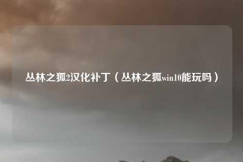 丛林之狐2汉化补丁（丛林之狐win10能玩吗）