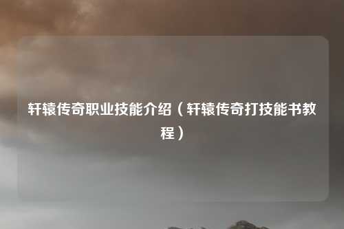 轩辕传奇职业技能介绍（轩辕传奇打技能书教程）