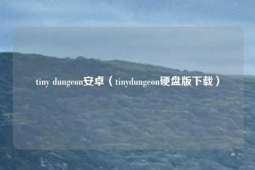 tiny dungeon安卓（tinydungeon硬盘版下载）