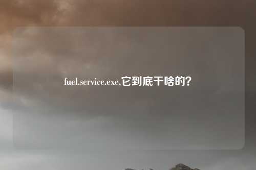 fuel.service.exe,它到底干啥的？