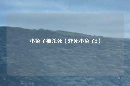 小兔子被杀死（炸死小兔子2）