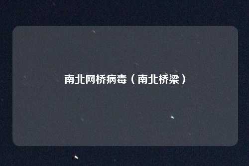 南北网桥病毒（南北桥梁）