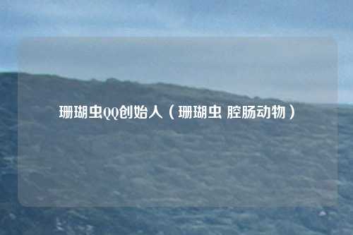 珊瑚虫QQ创始人(珊瑚虫 腔肠动物)