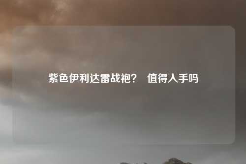 紫色伊利达雷战袍？  值得入手吗