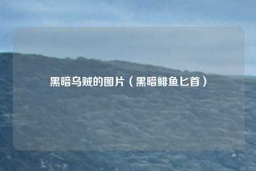 黑暗乌贼的图片（黑暗鲱鱼匕首）