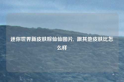 迷你世界新皮肤粽仙仙图片,  跟其他皮肤比怎么样