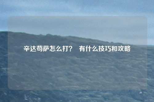 辛达苟萨怎么打？  有什么技巧和攻略