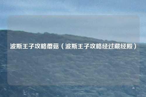 波斯王子攻略蘑菇（波斯王子攻略经过藏经殿）