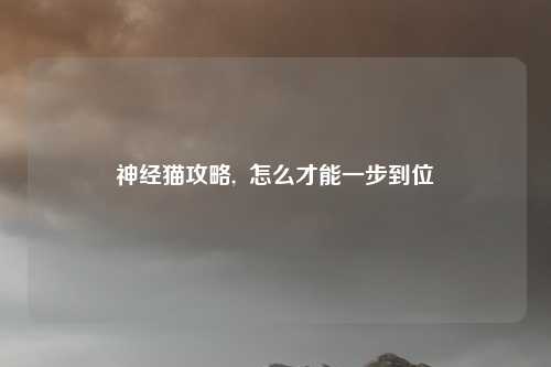 神经猫攻略,  怎么才能一步到位