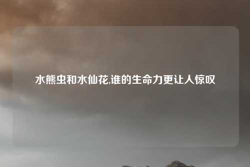 水熊虫和水仙花,谁的生命力更让人惊叹