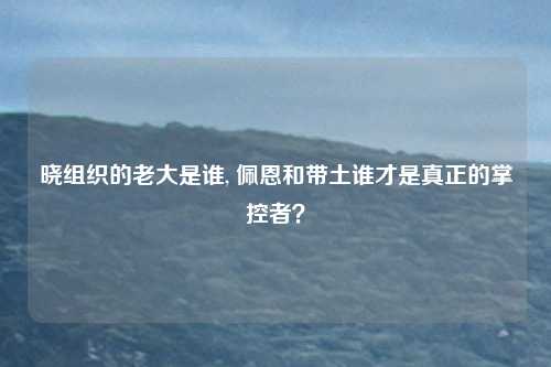晓组织的老大是谁, 佩恩和带土谁才是真正的掌控者？