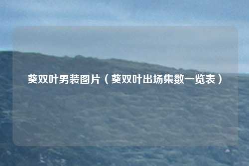 葵双叶男装图片（葵双叶出场集数一览表）