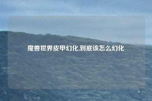 魔兽世界皮甲幻化,到底该怎么幻化