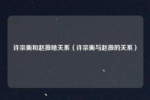 许宗衡和赵薇啥关系（许宗衡与赵薇的关系）