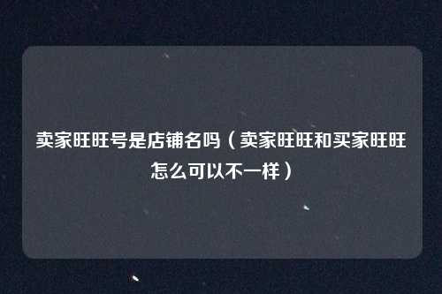 卖家旺旺号是店铺名吗（卖家旺旺和买家旺旺怎么可以不一样）