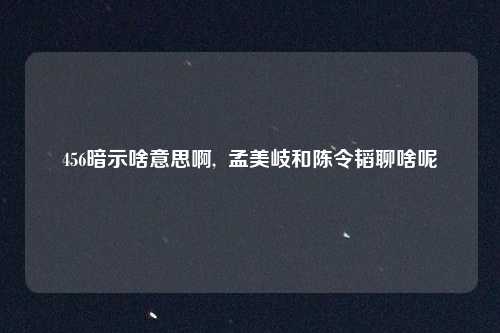 456暗示啥意思啊,  孟美岐和陈令韬聊啥呢