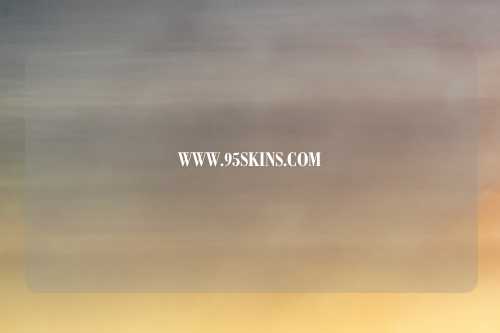 WWW.95SKINS.COM