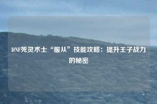 DNF死灵术士“服从”技能攻略：提升王子战力的秘密