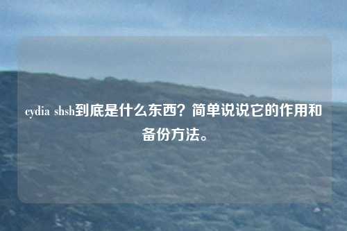 cydia shsh到底是什么东西？简单说说它的作用和备份方法。