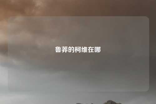 鲁莽的柯维在哪