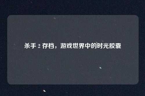 杀手 2 存档,游戏世界中的时光胶囊
