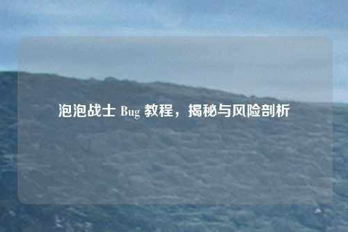 泡泡战士 Bug 教程,揭秘与风险剖析