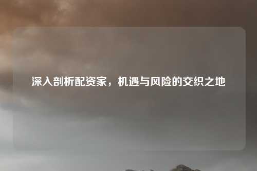 深入剖析配资家，机遇与风险的交织之地