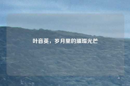 叶音英,岁月里的璀璨光芒