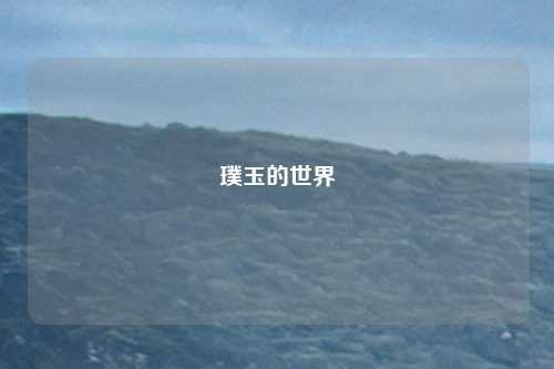 璞玉的世界