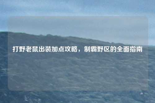 打野老鼠出装加点攻略，制霸野区的全面指南