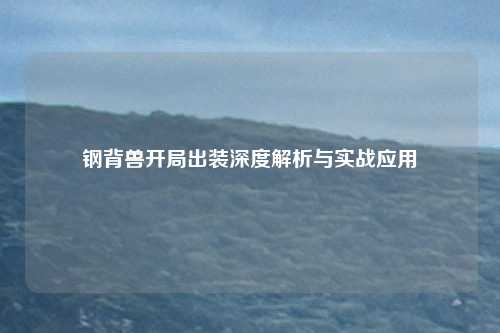 钢背兽开局出装深度解析与实战应用