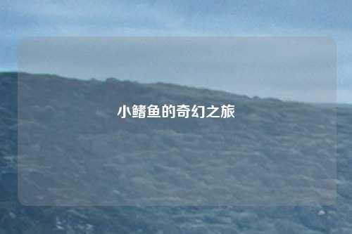 小鳍鱼的奇幻之旅