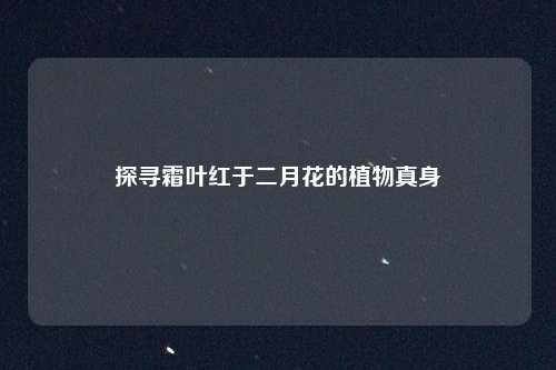 探寻霜叶红于二月花的植物真身