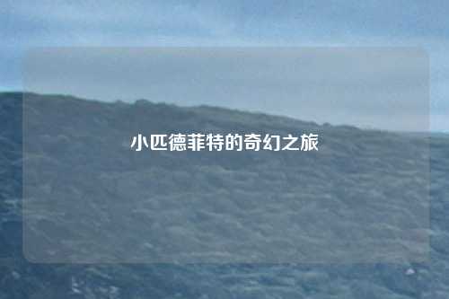 小匹德菲特的奇幻之旅