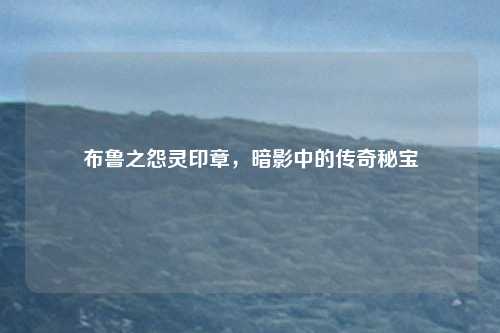 布鲁之怨灵印章，暗影中的传奇秘宝