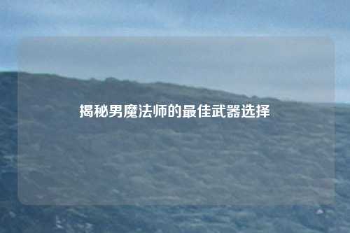 揭秘男魔法师的最佳武器选择