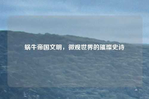 蜗牛帝国文明，微观世界的璀璨史诗