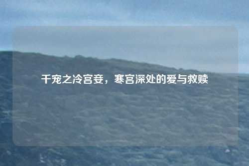 千宠之冷宫妾，寒宫深处的爱与救赎
