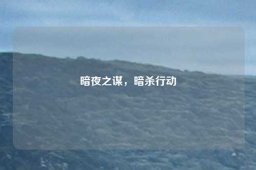 暗夜之谋,暗杀行动