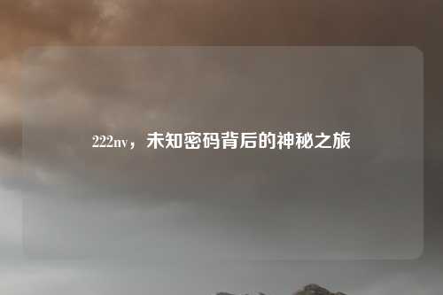 222nv，未知密码背后的神秘之旅